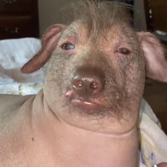 Meet your Posher, Olivia - Picture 1 of 1